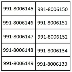 سبد ۱۰ شماره رند ۹۹۱ TL117