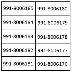 سبد ۱۰ شماره رند ۹۹۱ TL113