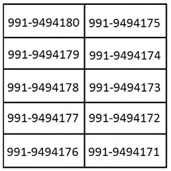 سبد ۱۰ شماره رند ۹۹۱ TL102