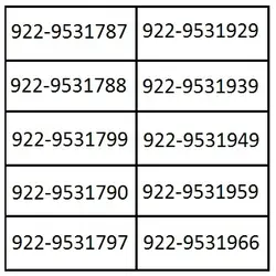 سیمکارت رایتل سراسری رندTL18