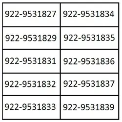 سیمکارت رایتل سراسری TL9