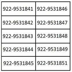 سیمکارت رایتل سراسری TL10