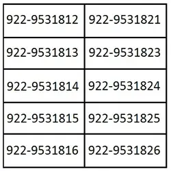 سیمکارت رایتل سراسری TL8