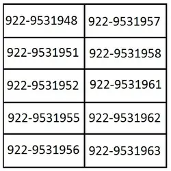 سیمکارت رایتل سراسری TL6