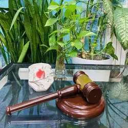 چکش عدالت دکوری