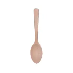 قاشق غذا خوری روشن