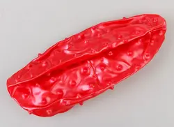 توپ پیلاتس قرمز مدل۲۰۲۲سایز۴