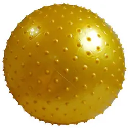 توپ پیلاتس مدلAerobic Ballسایز۵