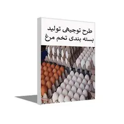 طرح توجیهی بسته بندی تخم مرغ زمستان 1402 + word و pdf