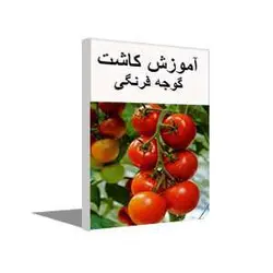 پکیج آموزشی تولید و پرورش گوجه فرنگی