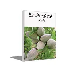 طرح توجيهی احداث باغ بادام (بهار 1401) + word و pdf