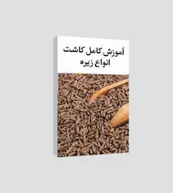 پکیج آموزش کاشت زیره (انواع زیره سبز و سیاه) بصورت کامل