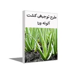 طرح توجیهی کشت آلوئه ورا (تابستان 1401) + word و pdf