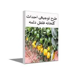 طرح توجیهی گلخانه فلفل دلمه ای (تابستان 1401) + word و pdf