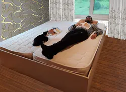 تشک تمام فوم یونیک ابعاد 90×200 سانتی متر (ضخامت 20 سانت)