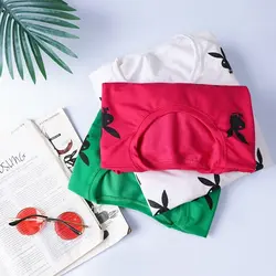 6067-بلوز دورس خرگوش