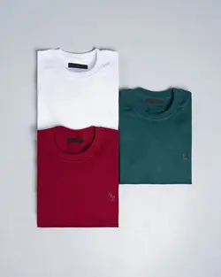 بلوز یقه گرد polo (مردانه)  کد 9263