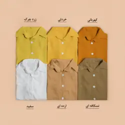 3643-شومیز ابروبادی