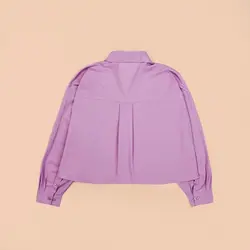 4809-شومیز نیلی