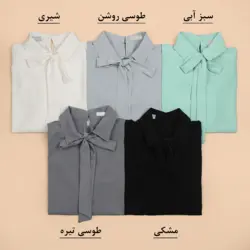 3811-شومیز نیکا