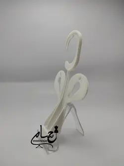 گیره دمپایی