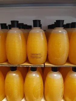 شامپو تخم مرغی داروگر