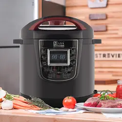 پلوپز ناسا الکتریک مدل NS-3079