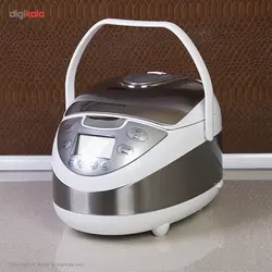پلوپز هاردستون مدل RC4060