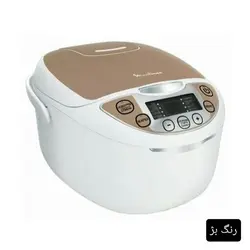 مولتی کوکر مولینکس مدل MK 706