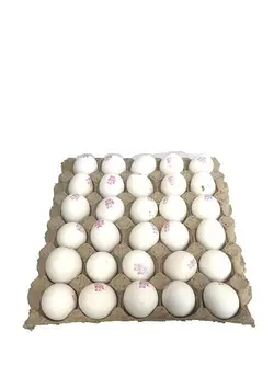 شونه تخم مرغ