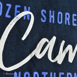 تیشرت Camp David