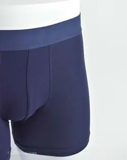 شورت سورمه ای روشن H&M
