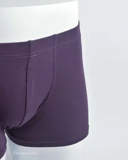 شورت بادمجانی ساده H&M