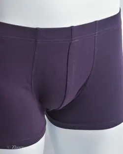 شورت بادمجانی ساده H&M