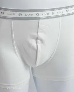 شورت سفید ساده LVB