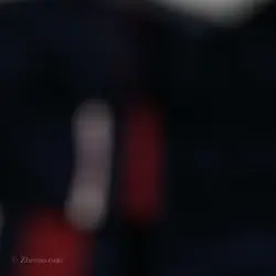 شلوارک  Nike