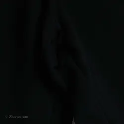 شلوارک  Adidas