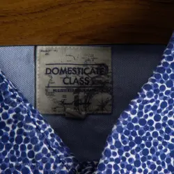 پیراهن نخی Domesticate class