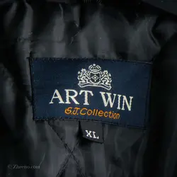 کاپشن Art Win