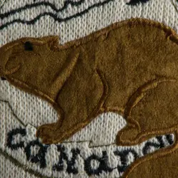 بافت طرحدار دورنگ