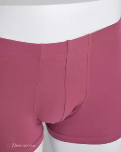 شورت زرشکی روشن H&M