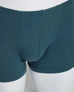 شورت کله غازی H&M