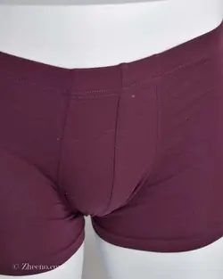 شورت زرشکی تیره H&M