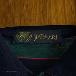 پولوشرت State of Art