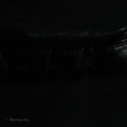 کاپشن Adidas
