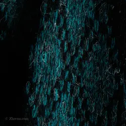 بافت طرحدار Knights bridge