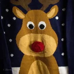 بافت طرحدار Cedar Wood State