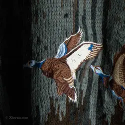 بافت طرحدار مرغابی