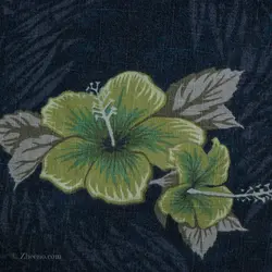 پیراهن هاوایی Croft & Barrow