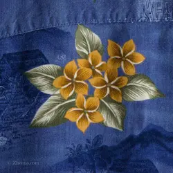 پیراهن هاوایی Campia